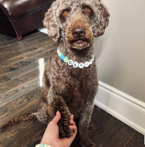 Personalized Pet Name Necklace – Comes with a Free Matching Bracelet